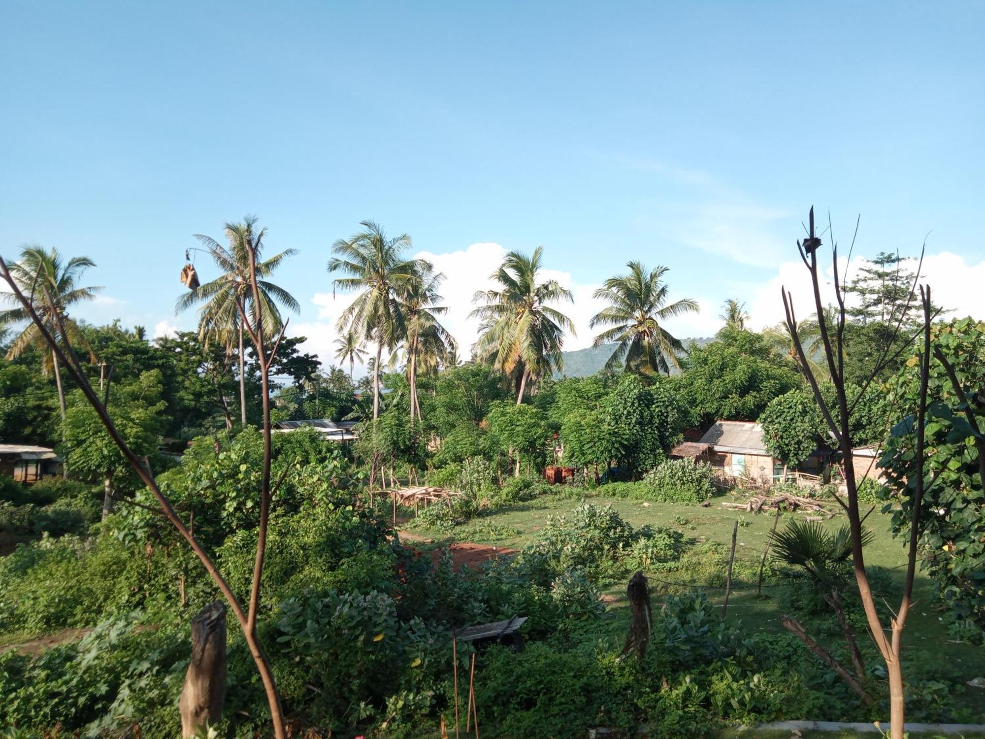 Ramdan Homestay Kuta  Bilik gambar